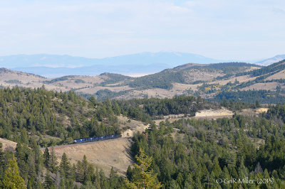 MRL Weed, MT