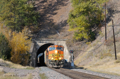 MRL Nimrod, MT