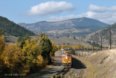 MRL Drummond, MT