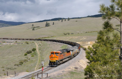 Eastbound Empty Coal Train Nagos, MT