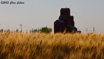 Saskatchewan Grain Elevators