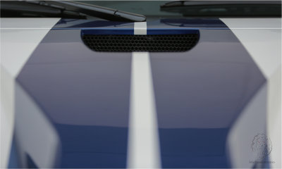 LO09.jpg
