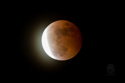 BLOODMOON 100814 Manila Philippines.jpg