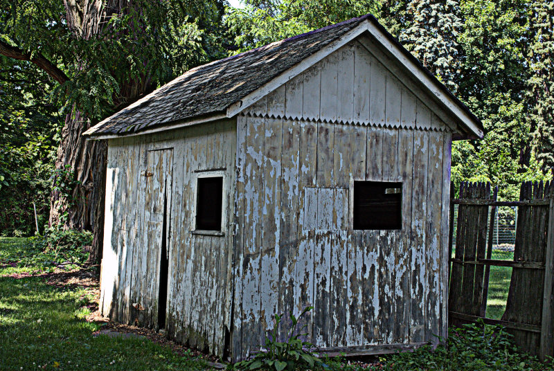 Old Shed