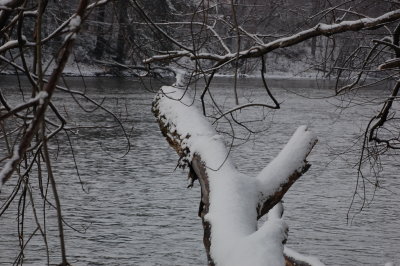 Winter Morning on the Wallkill River