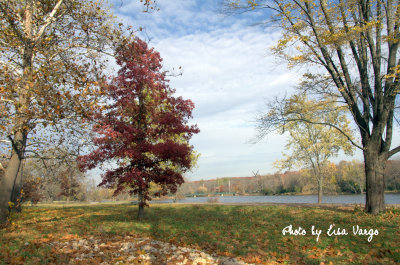 Fall day at the River 2.jpg