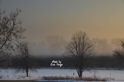 Winter Fog by the River