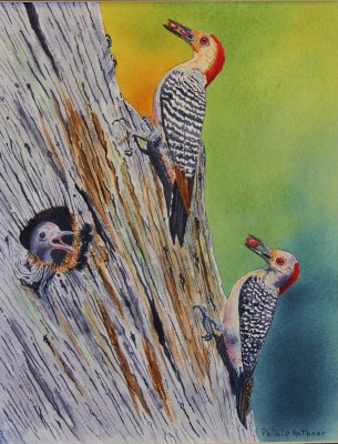 Philip Rathner's Watercolors
