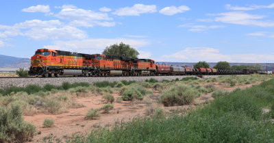 BNSF 4476