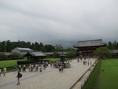 IMG_6241 1280x960.jpg