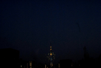 TH0245LR.jpg