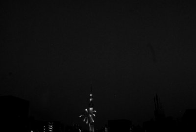 TH0248LR.jpg