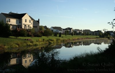 Suburban Stillness