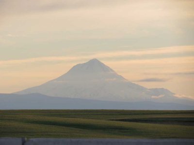 Mt. Hood