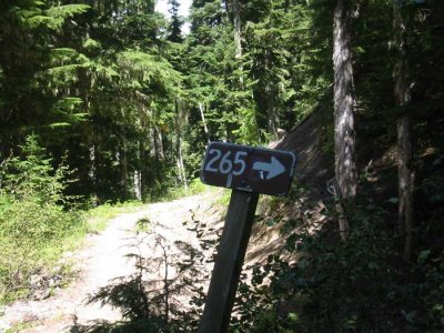 This was an awesome trail