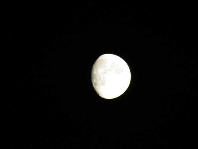 Fossil moon