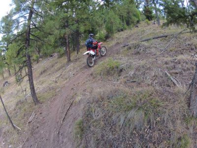 Up the hill