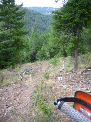 There's a trail?