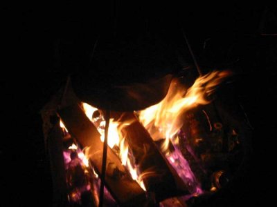 IMG_7679.jpg