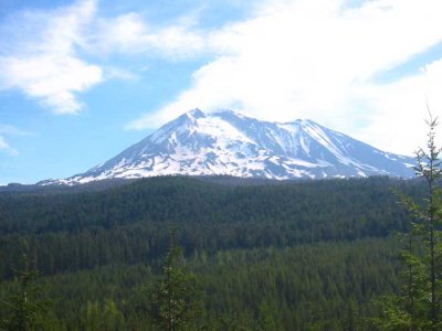 IMG_7732.jpg