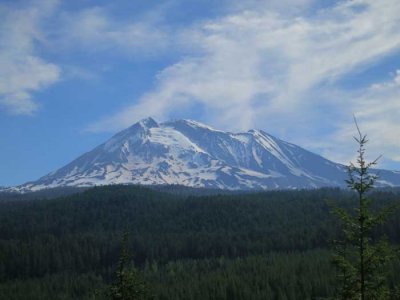 IMG_0103.jpg