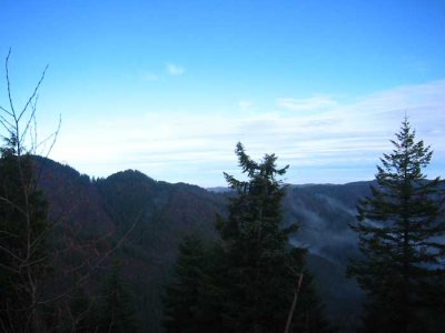 IMG_7871.jpg