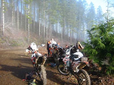 IMG_7882.jpg