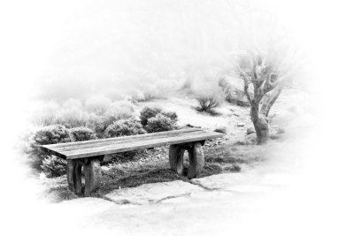 Bench, Japanese Garden, Seattle