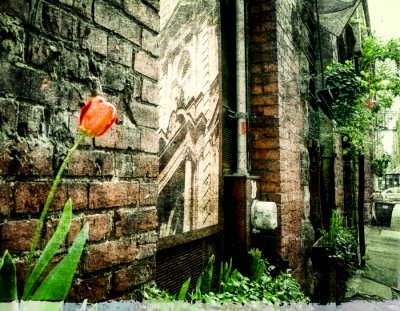 Alley
