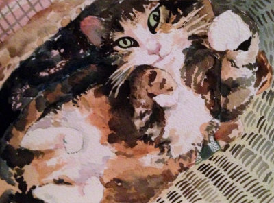 Pet Portraits www.LauraFoxArt.com