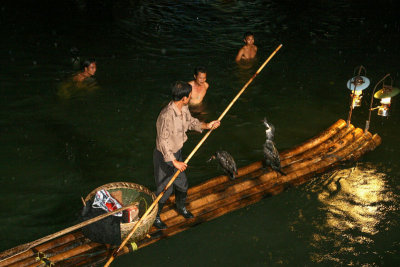 Cormorant Fishing 02a.jpg