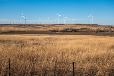 g9/93/295593/3/153660329.xVUohk8h.jpg