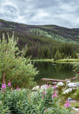 colorado_vacation_2014