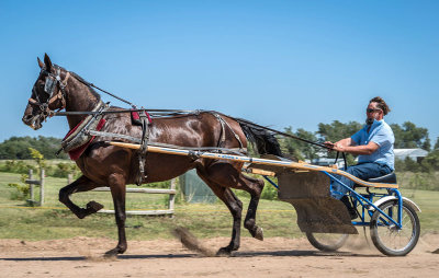 Yoder 2014 40 Races 02.jpg