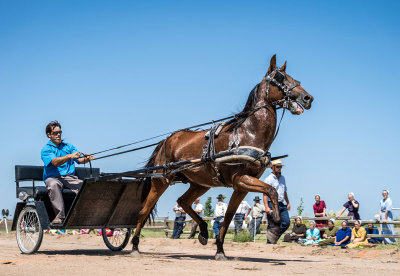 Yoder 2014 44 Races 03.jpg