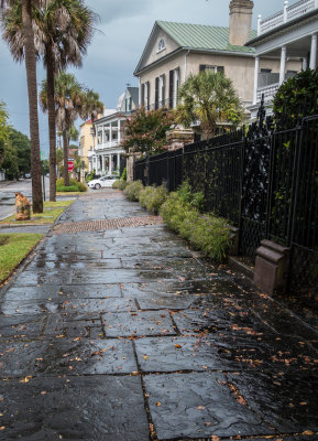 Charleston Textures 00i.jpg