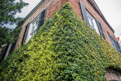 Charleston Textures 04.jpg