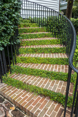Charleston Textures 21.jpg