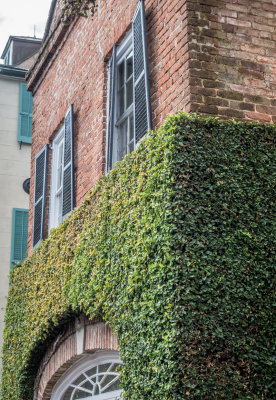 Charleston Textures 24.jpg