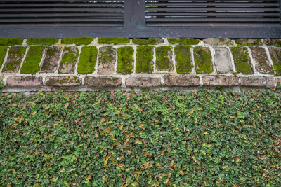 Charleston Textures 29.jpg