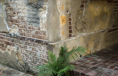 Charleston Walking Tour 02.jpg