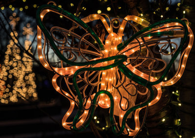 Botanica 04.jpg