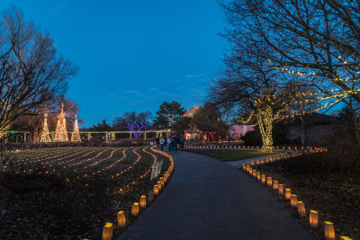 Botanica 06.jpg