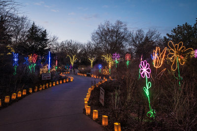 Botanica 07.jpg
