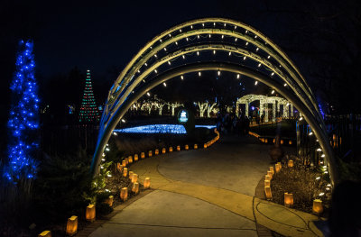 Botanica 20.jpg