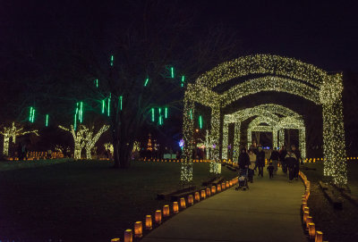 Botanica 22.jpg
