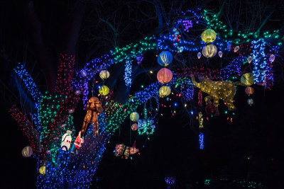 Botanica 26.jpg