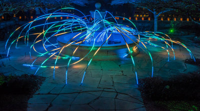 Botanica Illuminations 2014