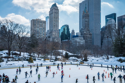 Central Park 11.jpg