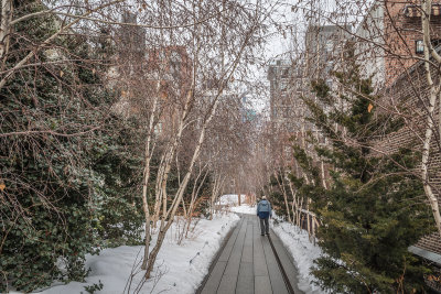 High Line 09.jpg